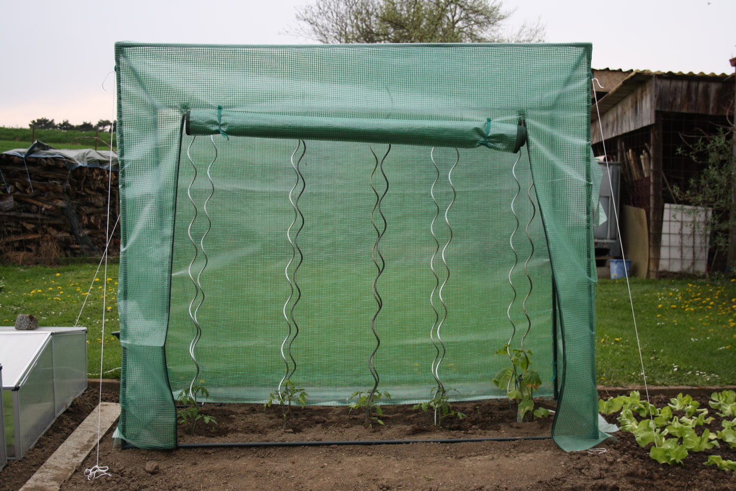 GREENPRO XXL Gewächshaus Treibhaus Frühbeet Foliengewächshaus Tomaten