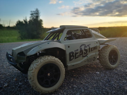 RC Allrad Rallye Truck PHANTOM 4WD Ferngesteuertes Auto Monster Truck 2,4 Ghz.